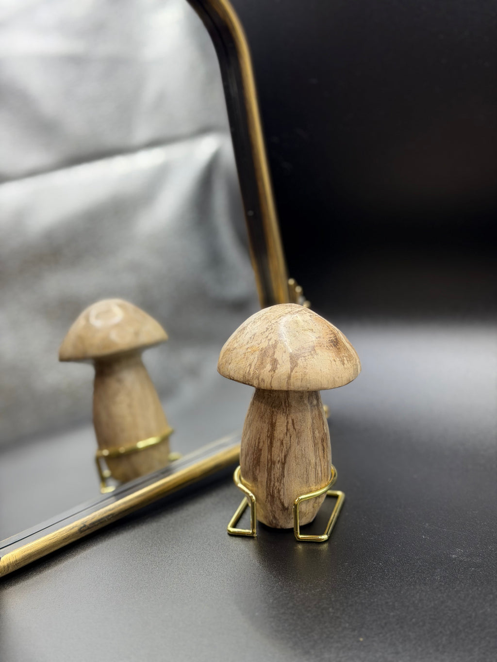 Petrified Wood Mushrooms